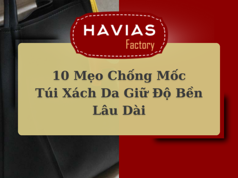 10 Mẹo Chống Mốc Túi Xách Da Giữ Độ Bền Lâu Dài