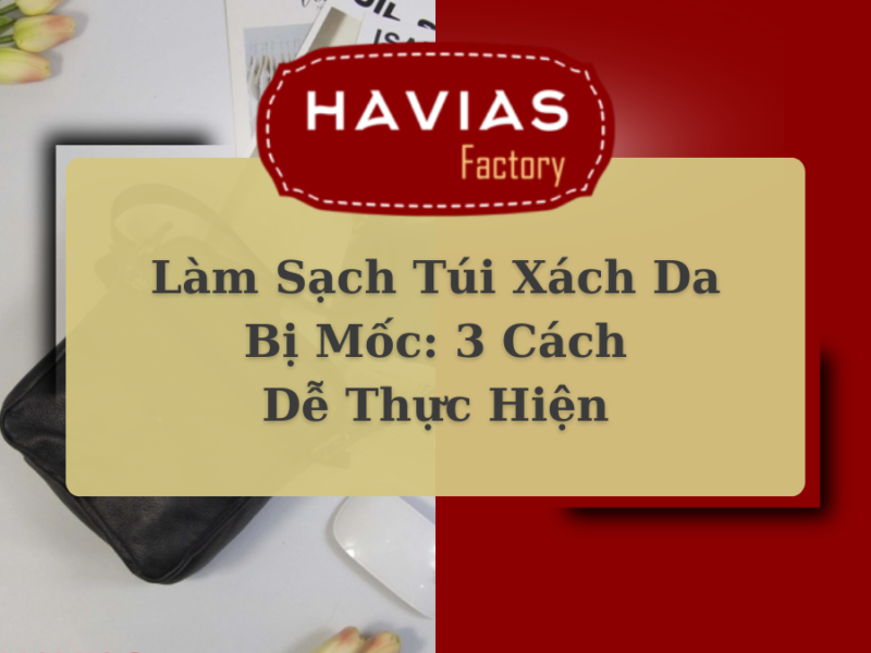 Làm Sạch Túi Xách Da Bị Mốc: 3 Cách Dễ Thực Hiện